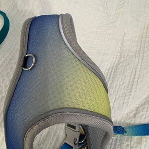 Gradient Blue-Green Padded Dog Harness - Comfort Fit